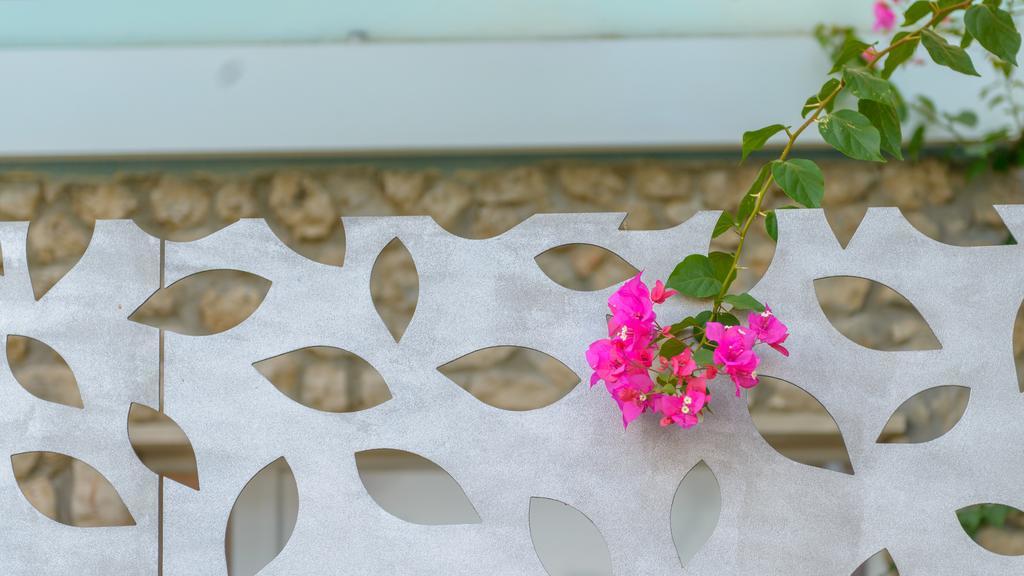 Apartment Mair Dubrovník Pokoj fotografie